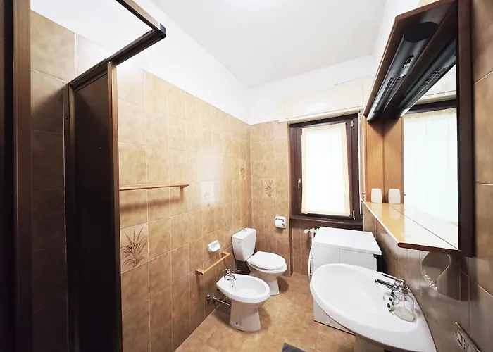 2d View * 베르바니아