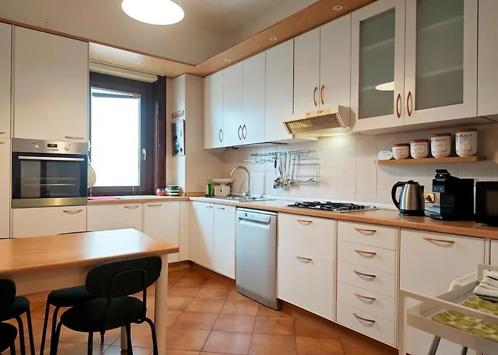 2d View * 베르바니아