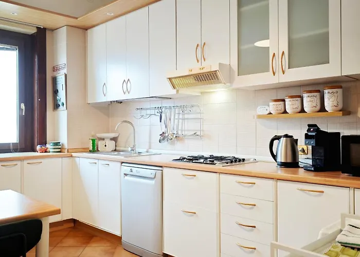 2d View 베르바니아